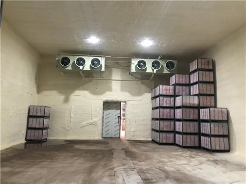 半岛网页版_半岛（中国）苹果冷库安装案例